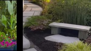 Красивый сад.