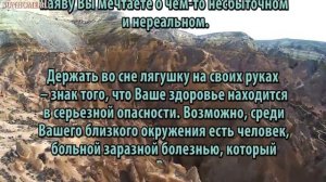 К чему снится Лягушка сонник, толкование сна