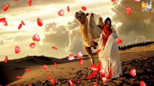 Туй Памирская Музыка