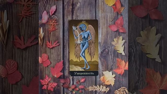 Для начинающих.Старший аркан Умеренность.