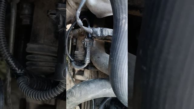 течь масла с мотора, нашел 3 причины.хендай акцент тагаз