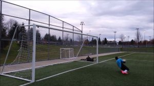 Adidas Predator Fingersave Allround Test