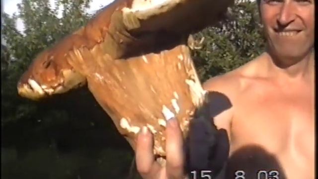 Большой белый гриб 1,3 кг смотреть онлайн