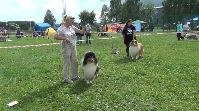 2017 08 12 MonoCollie Kemerovo смотреть онлайн