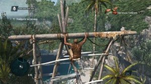 Assassins Creed: IV  Black Flag:(часть 1) путь в гавану