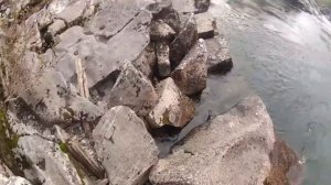 Сплав по Казыру. Порог Базыбай. Сентябрь 2017 г. Группа из Новокузнецка