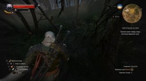 Ведьмак 3 Дикая Охота - Смертельный заговор, Гвинт в Новиграде, Талер и тролли, Поэт в опале #153