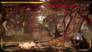Mortal Kombat 11 brutality and frandship.