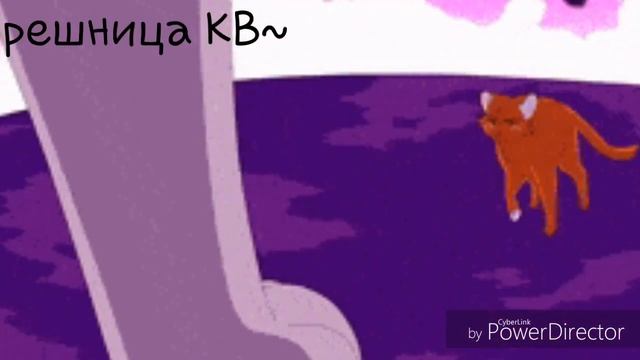 Коты - Воители. Слеза смотреть онлайн