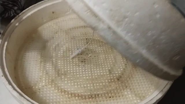 Немного об инкубаторе. Как выставить температуру, и что для этого нужно. смотреть онлайн