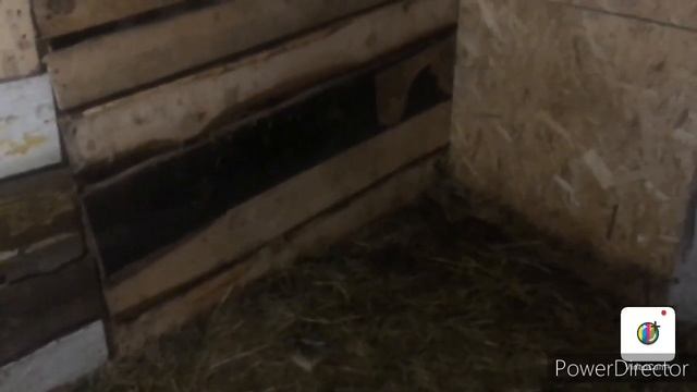 Влог 62:Убираюсь в сарае/У нас отключили воду,как жили раньше? смотреть онлайн