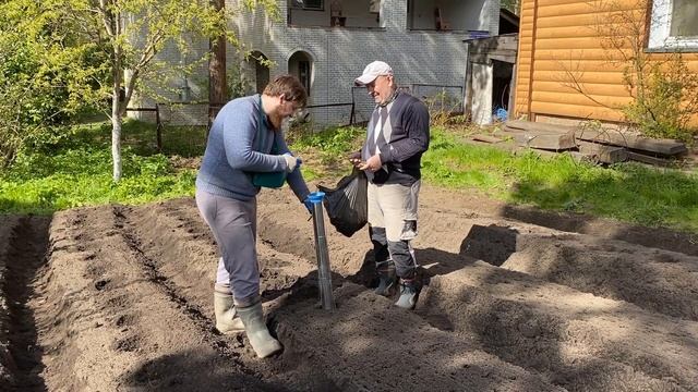 Как сажать картошку под укрывной материал ручной картофелесажалкой.