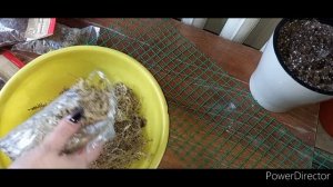 DIY Опора для растений своими руками. #Тотем для комнатных цветов