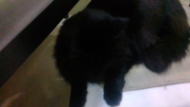 Как прожить на 50 рублей? смотреть онлайн