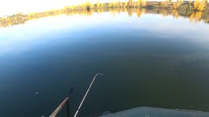 Бортовая удочка. Поклёвки окуня.