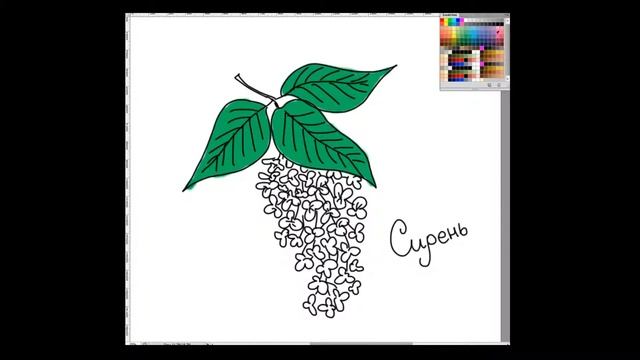 Рисуем сирень для начинающих Drawing lilac for beginners