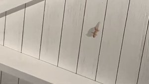 Мальдивы. Ayada maldives. 2023