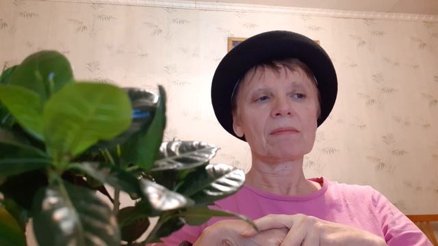 Можно улучшить, сделать и успеть воплотить! День общения. смотреть онлайн