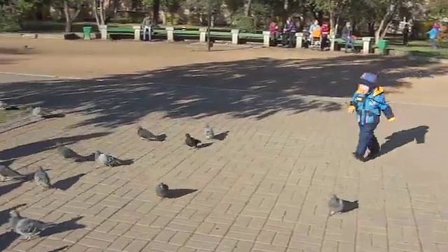 замедленное видео с casio EX-FH100 смотреть онлайн