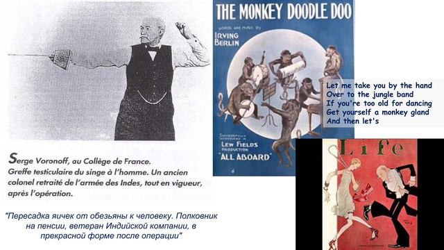 Вся правда про стволовые клетки. Stem Cells.