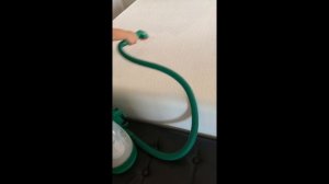 Bissell Littlegreen. Cleaning my mattress. Чистка матраса с помощью моющего пылесоса.