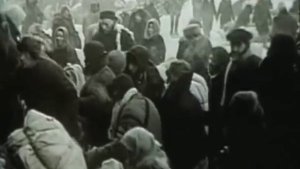 Ленинградцы, дети мои!..
