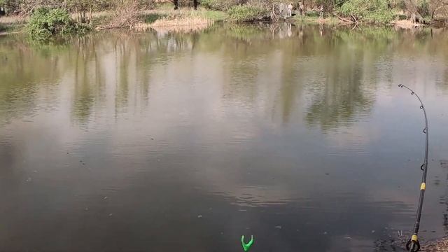 Вобла 2021 года! Рыбалка на воблу. Красивое место! смотреть онлайн