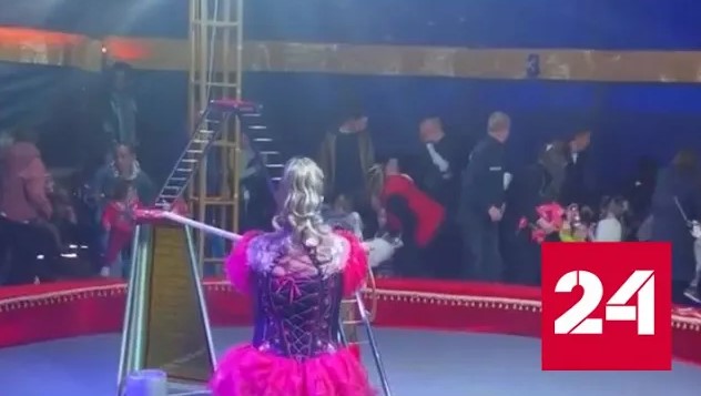 В цирке во время представления обрушились трибуны со зрителями - Россия 24 
