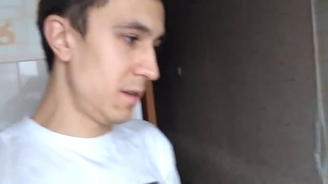 О родах собаки Лабрадоратизер