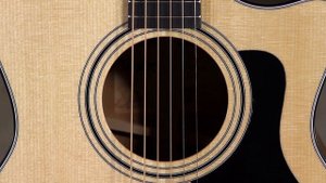 An American Guitar for Everyone? {Taylor 314ce}