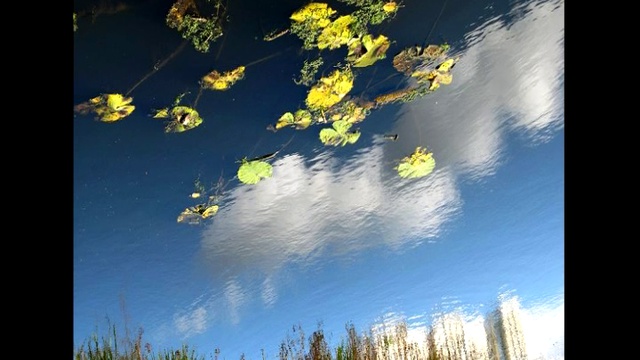 Отражения