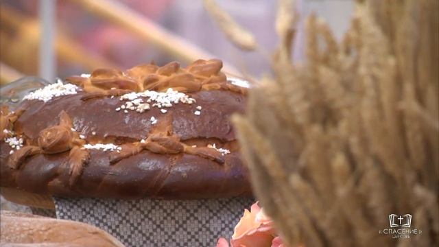 Осень, осень... Сколько раз ты мне напоминала / Стихотворение смотреть онлайн