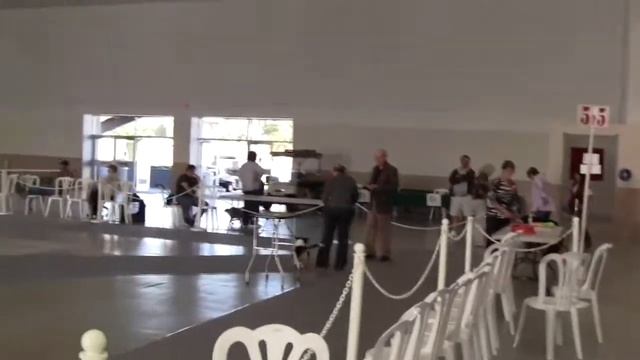 Baxter at Puppy Match смотреть онлайн