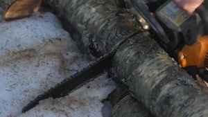 ТОП-5. Лучшие цепные электропилы. Рейтинг 2022 года