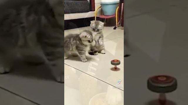 ахаххахаха ?????? смотреть онлайн