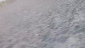 Мой вечер у бабушки
