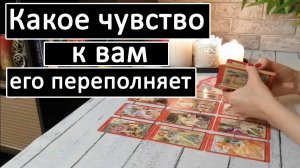 Таро?Какое чувство к Вам его переполняет!?? /Общий онлайн расклад ?