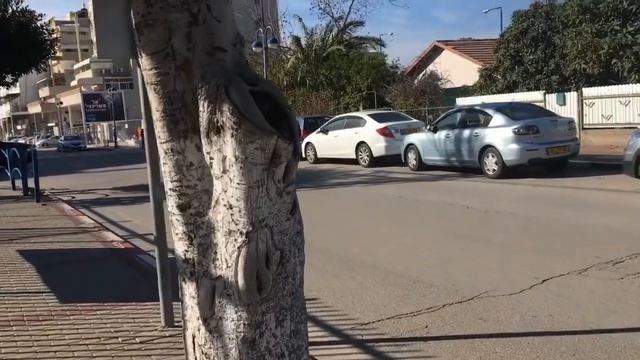 Муниципальный налог (арнона) в Израиле смотреть онлайн