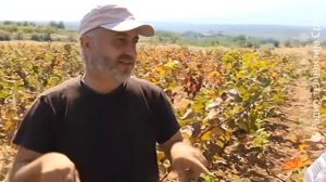 Pravo na sutra: Orahovac, Velika Hoča - In vino veritas