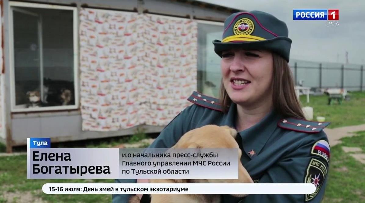 Тульские спасатели посетили приют для бездомных собак под Шатском
