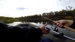 Ловля окуня на поппер G-Splash 65 от Lucky Craft