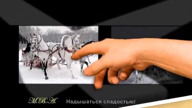 Ах, вы кони мои кони смотреть онлайн