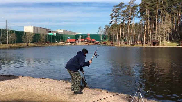 "золотой сазан" смотреть онлайн