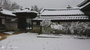 경복궁 역대급 대설 14cm, 외국인들은 온통 하얀 설경에 무아지경입니다. 서울 경복궁 여행, 서울여행워커.