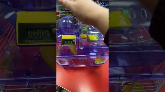 Супер клетка для хомяка? смотреть онлайн