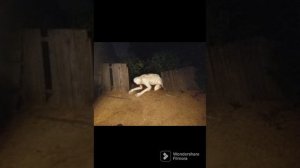 unnerving images with minecraft cave sounds low pitch part 3