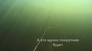 Подводная охота на Волге весна 2016 HD
