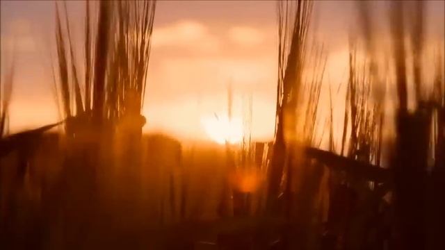 Событие Вознесения приближается смотреть онлайн