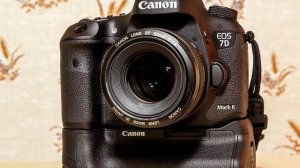 Top 10 Camera For Wildlife Photography in  2023 (Top 10 Picks)