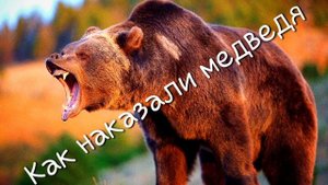 Как наказали медведя (тофаларская народная сказка)